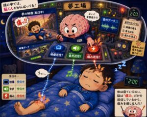 体は寝ているのに、なぜ痛みだけ感じるの？